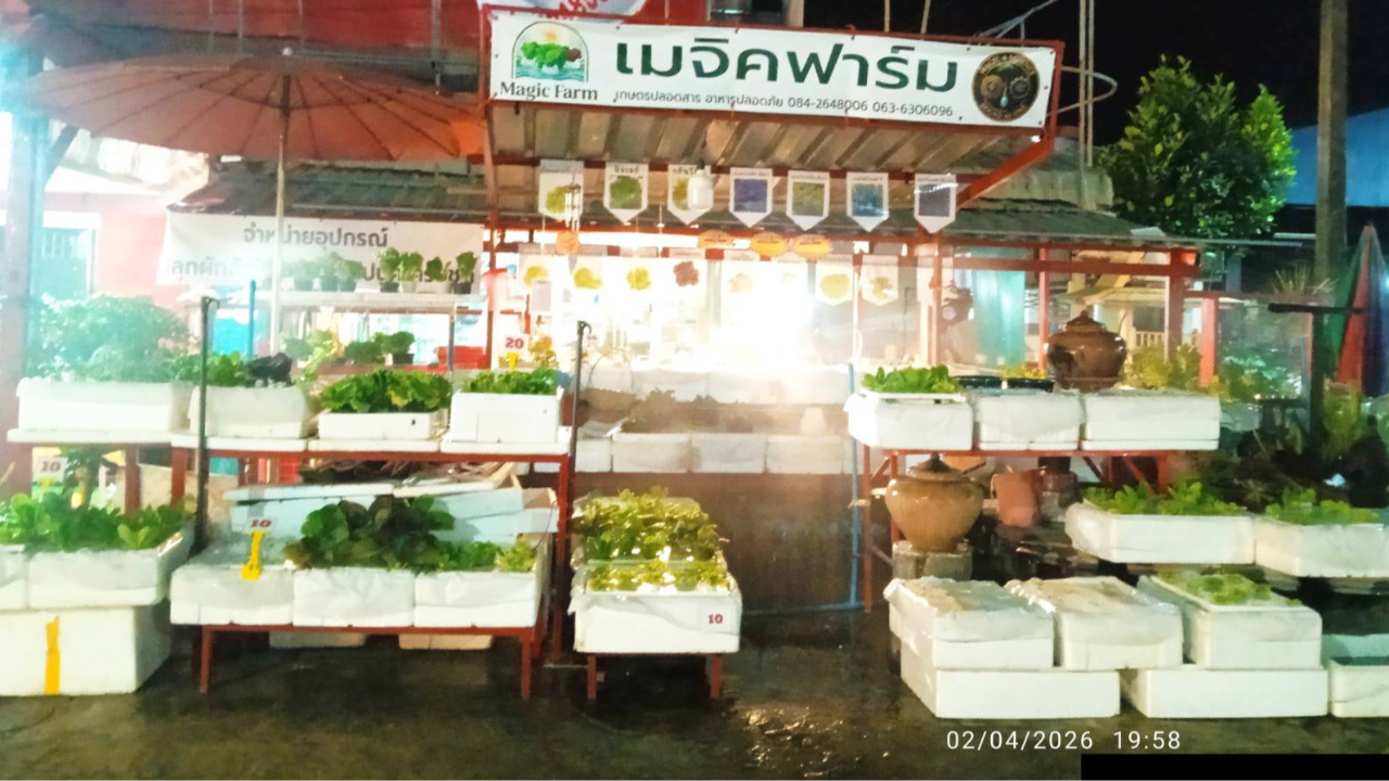เมจิคฟาร์ม